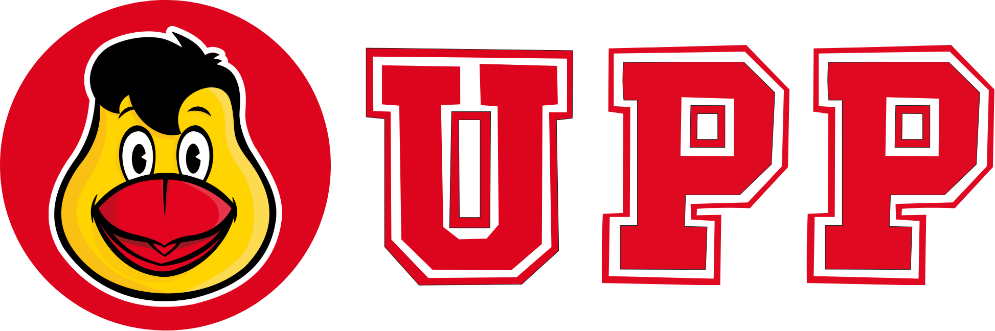 Universidad PP
